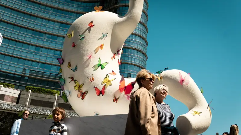 Butterflies up close, Porta Nuova