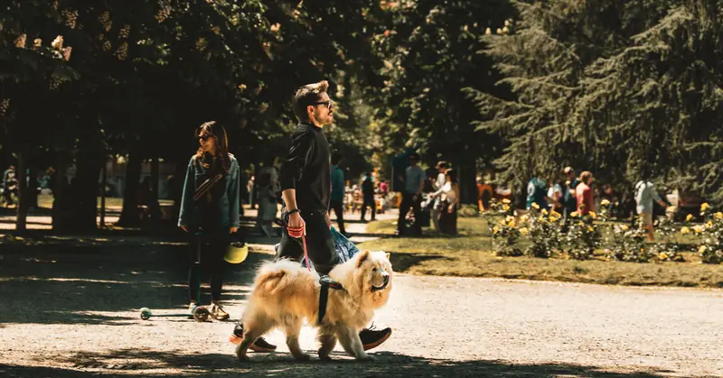 Walking the dog in the park