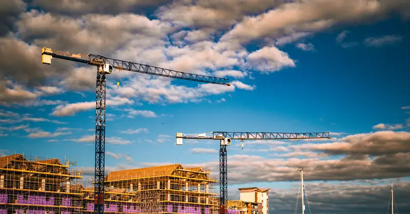 Cranes over SA1