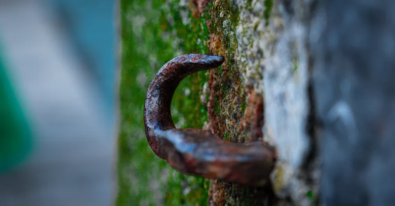 Rusted hook, mossy wall